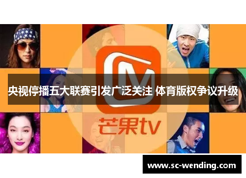 央视停播五大联赛引发广泛关注 体育版权争议升级